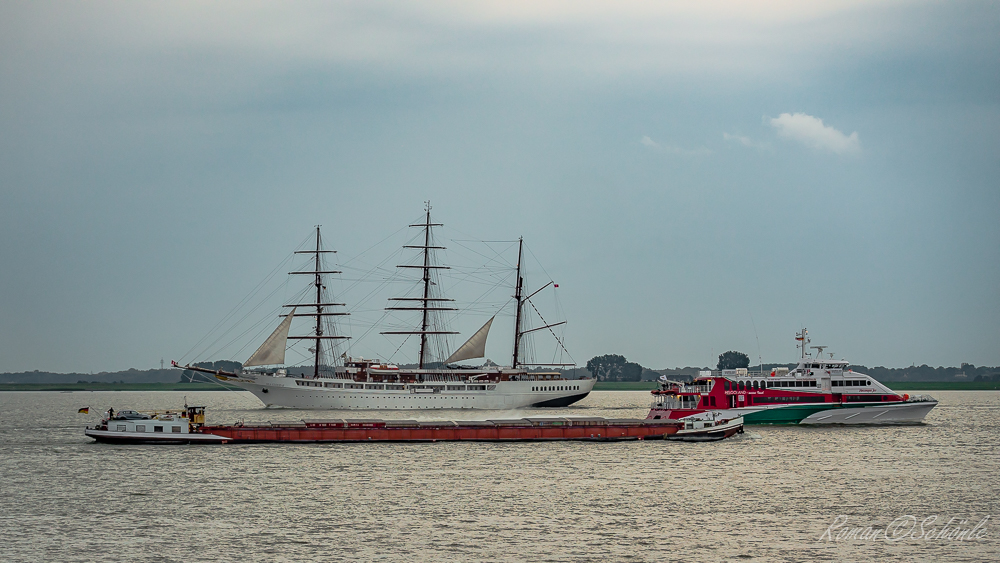 Begegnungen auf der Elbe