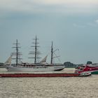 Begegnungen auf der Elbe