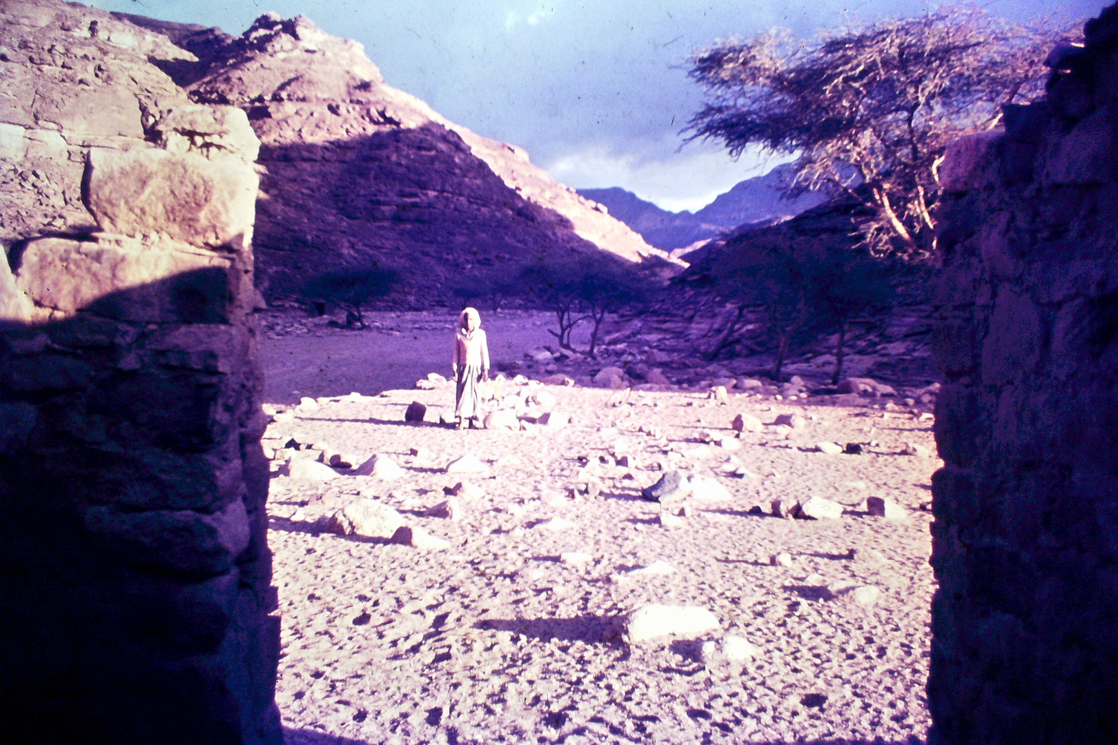 Begegnungen bei einer Wanderung durch den Sinai 1972