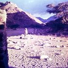Begegnungen bei einer Wanderung durch den Sinai 1972