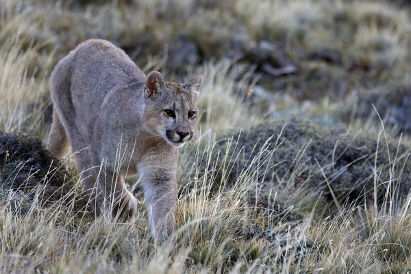 Begegnungen der besonderen Art