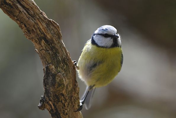 BEGEGNUNGEN, DIE FREUDE SCHENKEN.