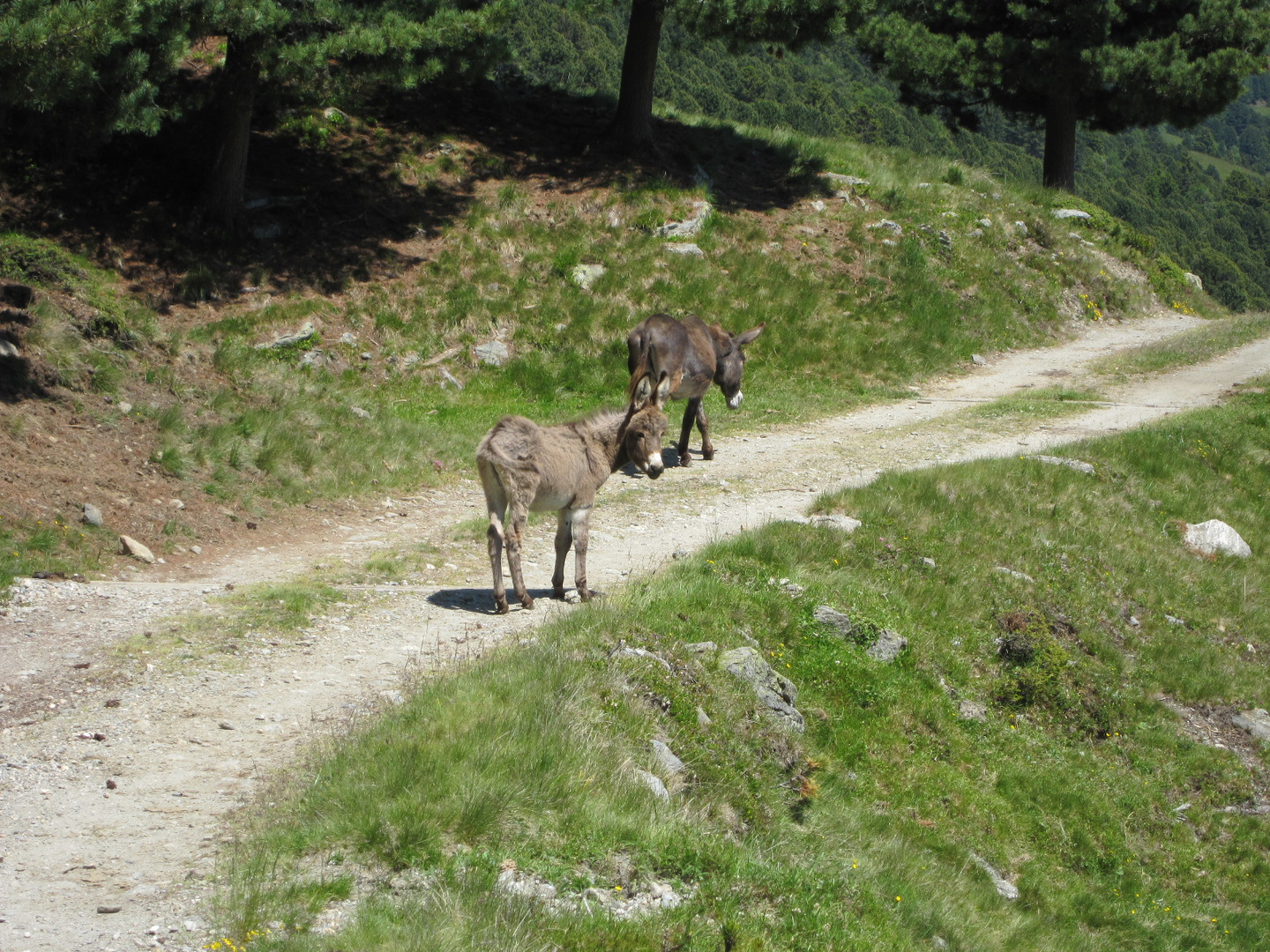 Begegnungen