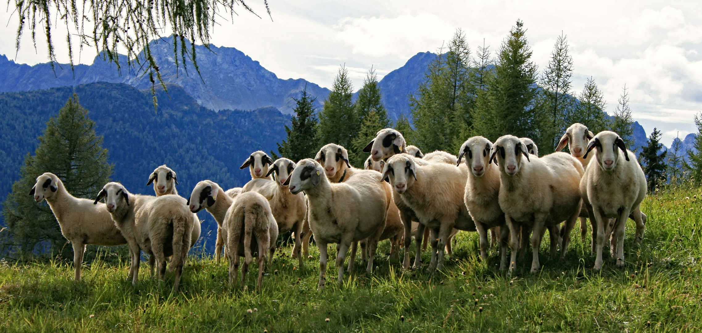 Begegnungen im Lesachtal, Österreich