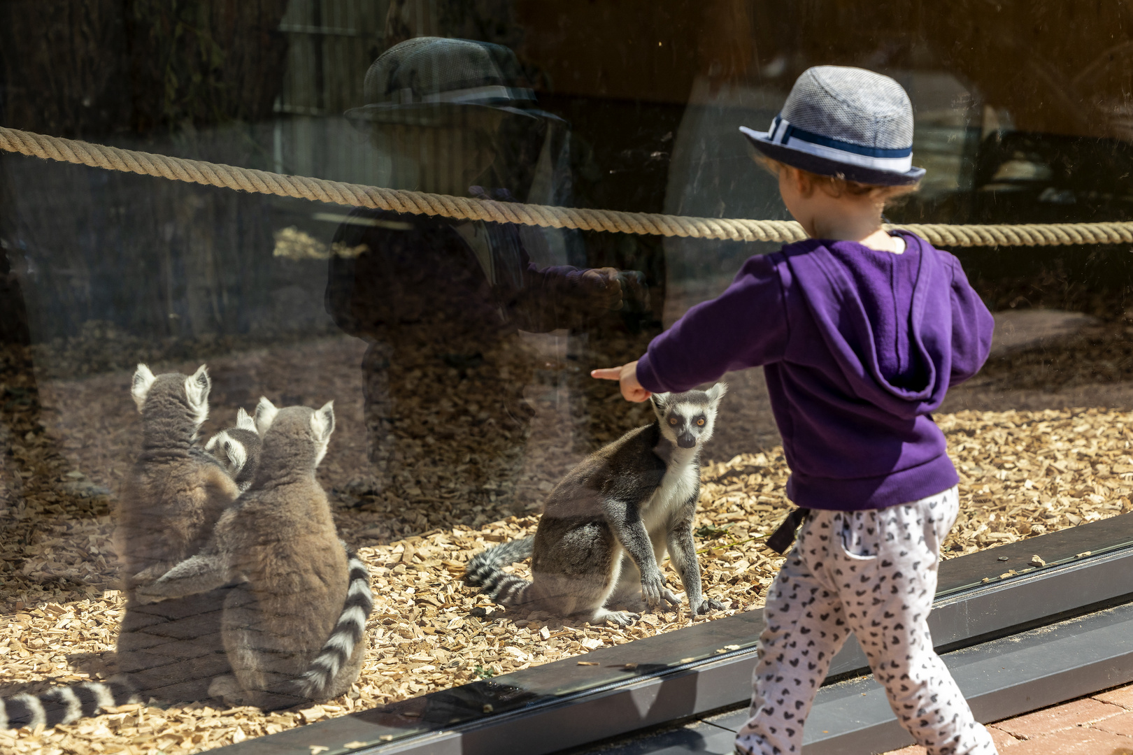 Begegnungen im Zoo, 17