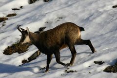 Begegnungen in der Natur