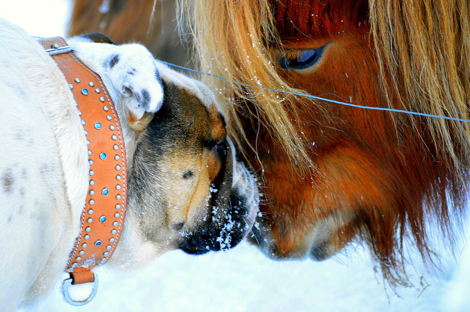 Begegnungen sind wie Schneeflocken, sie berühren Dich sanft,