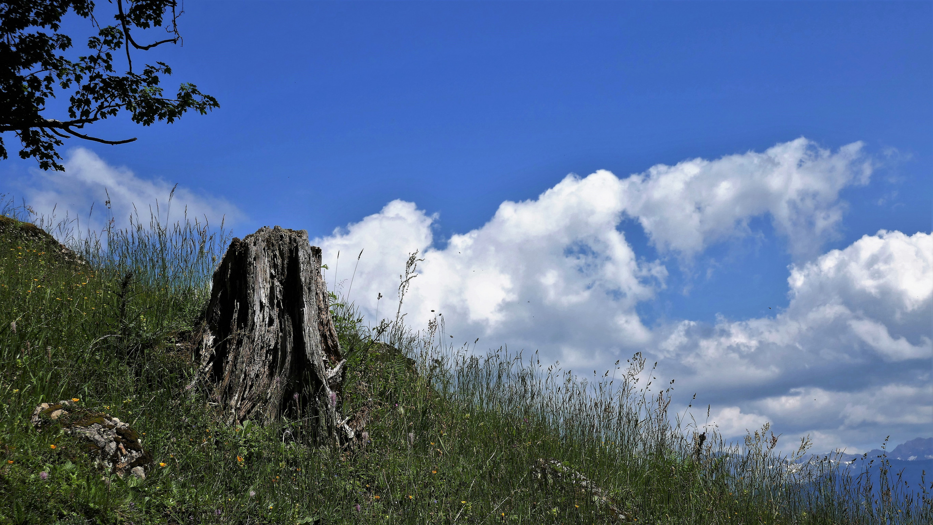 Begegnung/rencontre