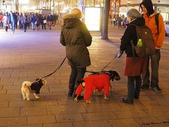 Begegnungsszone Mariahilferstrasse