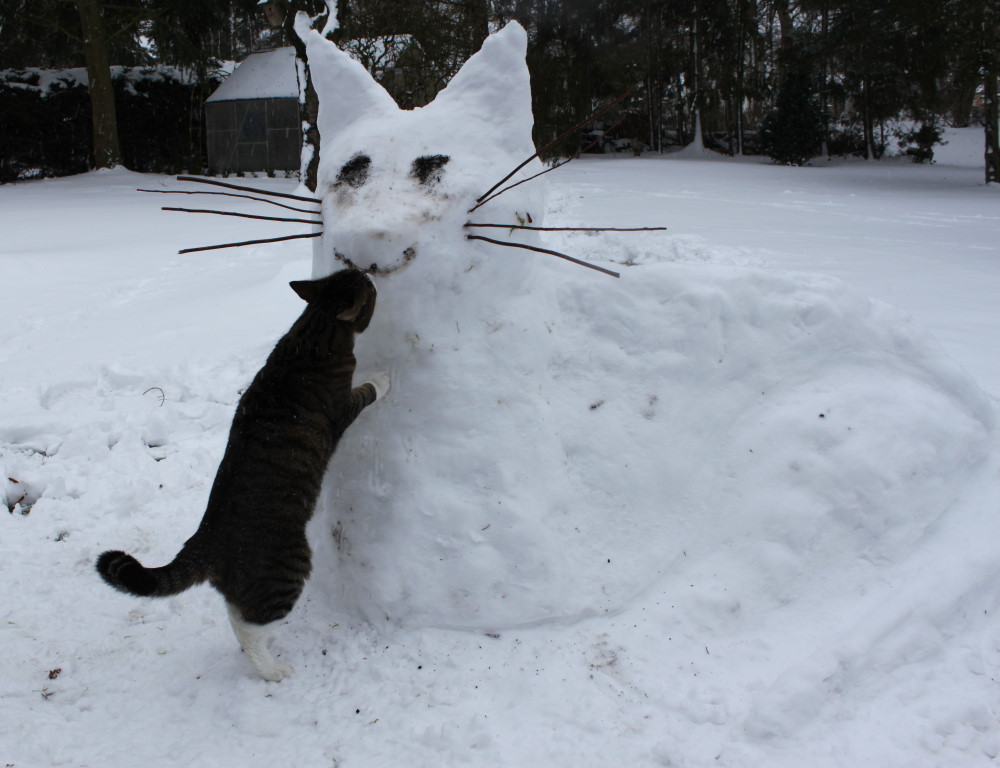 Begegung & Kuss mit riesen Schneekatze...