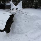 Begegung & Kuss mit riesen Schneekatze...