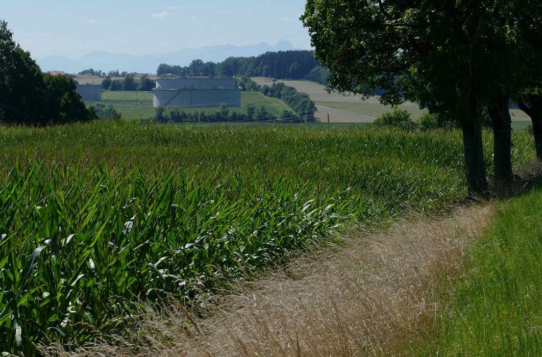 Begehrlichkeiten