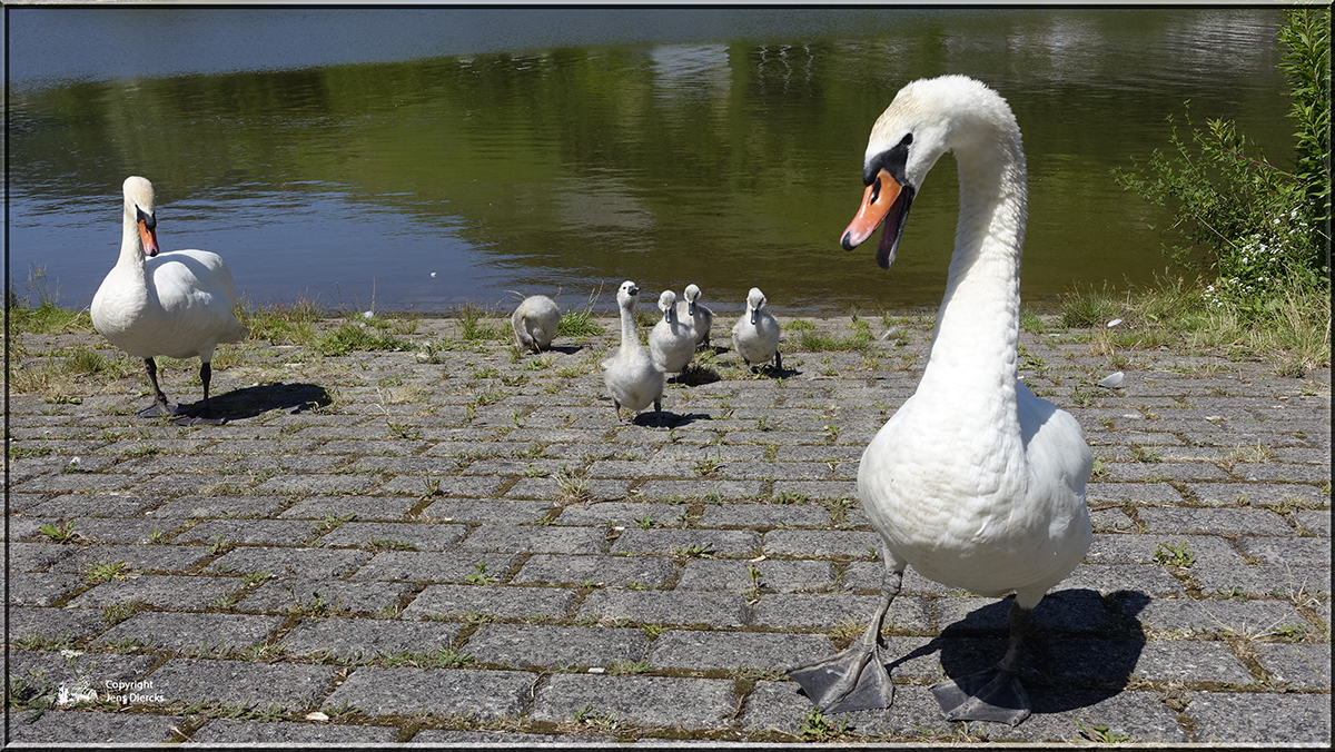 Begeisterung von der Mamma.......