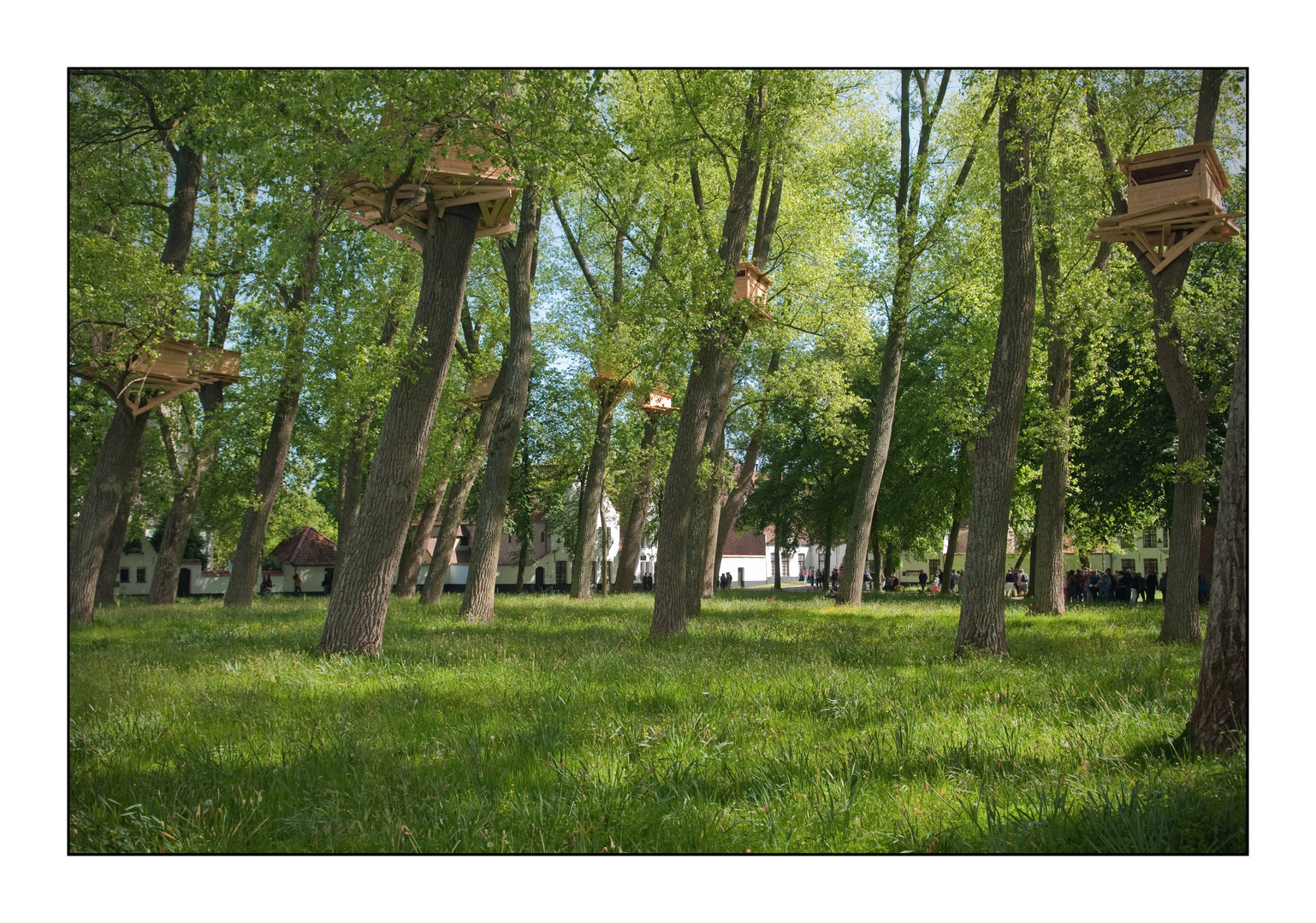 Begijnen? Je zou er de bomen van in kruipen. Toch, langs den andere kant ...