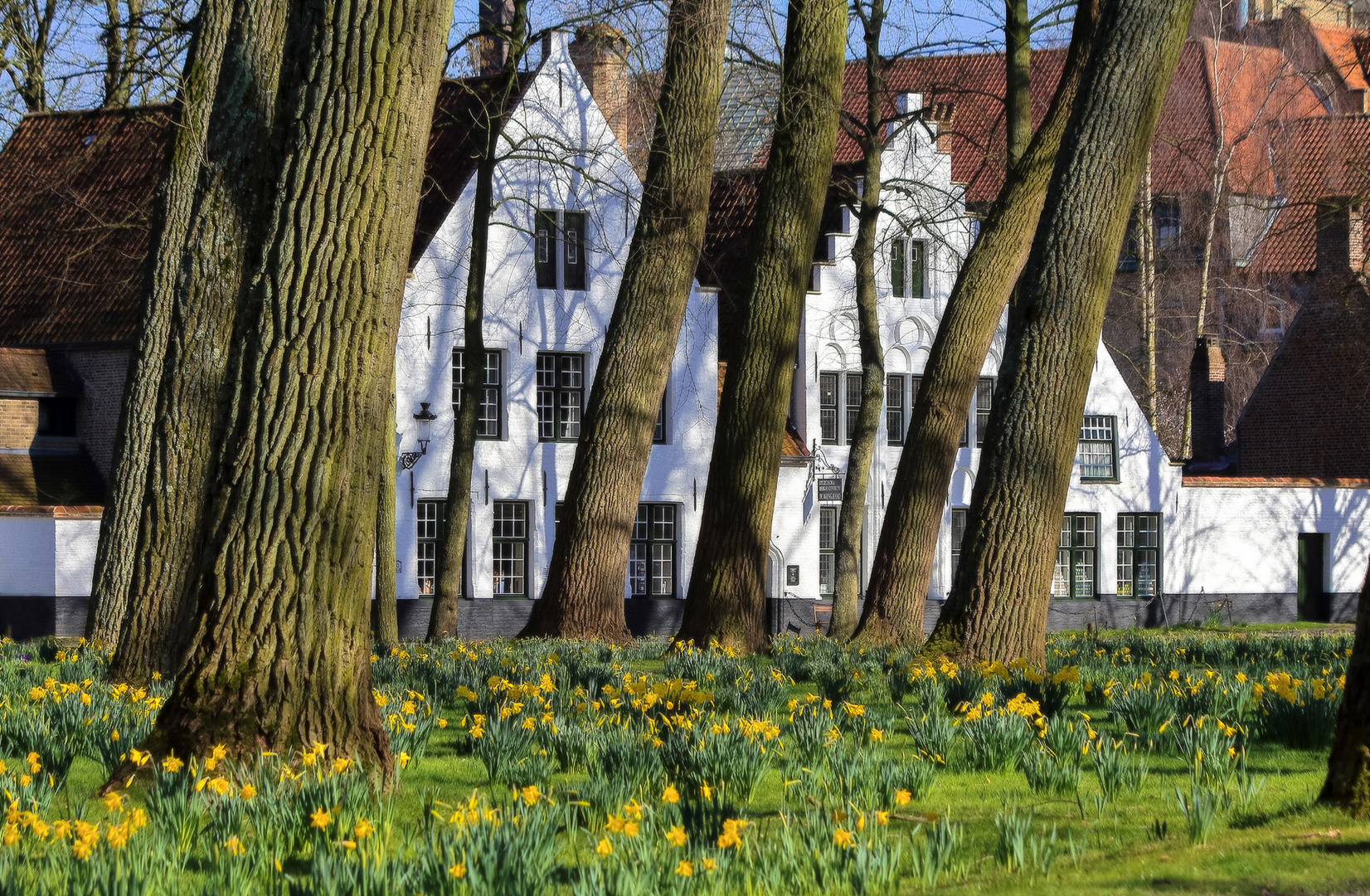 Beginenhof Foto & Bild world, bäume, frühling Bilder auf