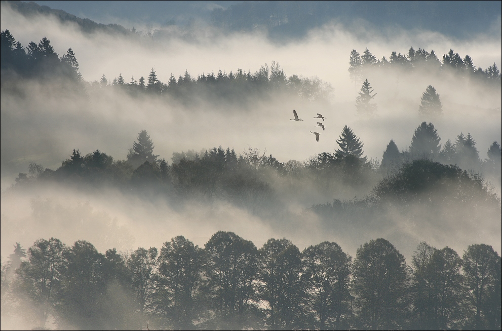 beginn.... von Veronika Pinke 