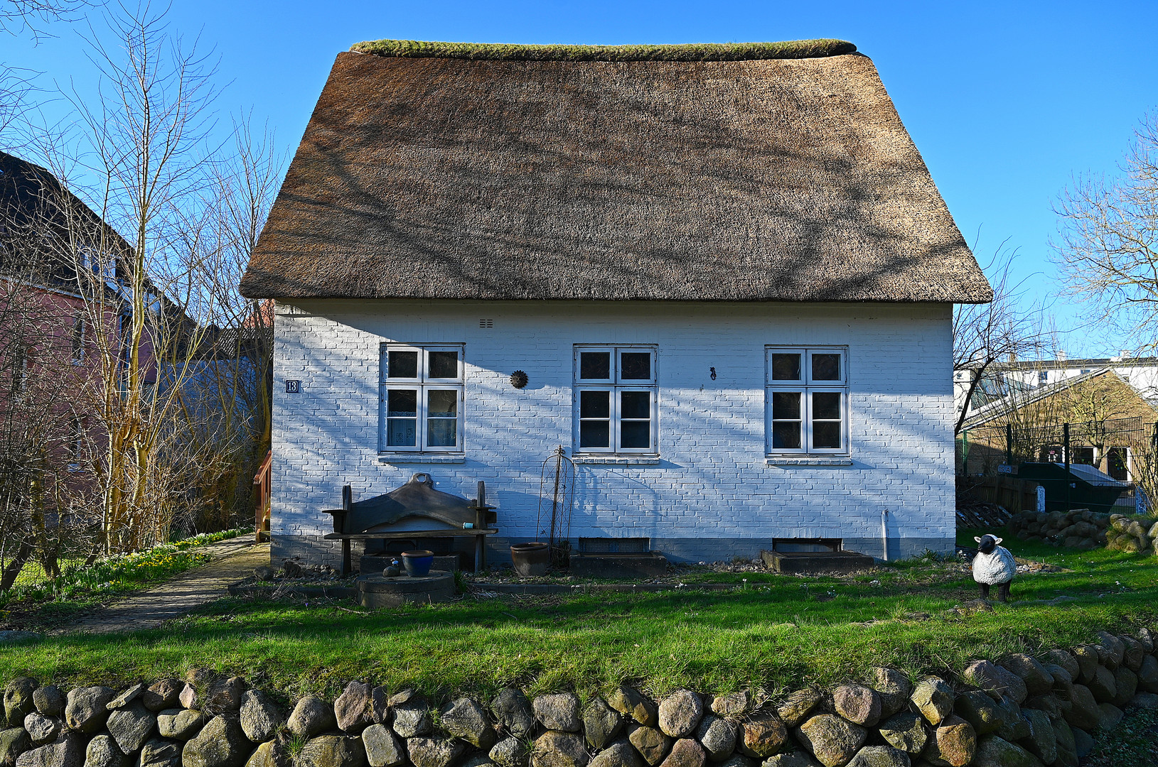 Beginn der Krokusblüten-Zeit in Husum