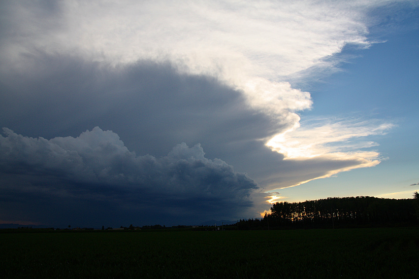 Beginn der Regenzeit?