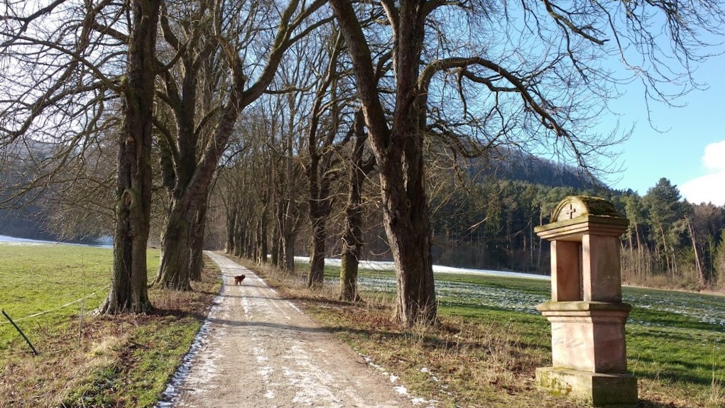 Beginn des Kreuzweges zur Elisabethhöhe in Heiligenstadt