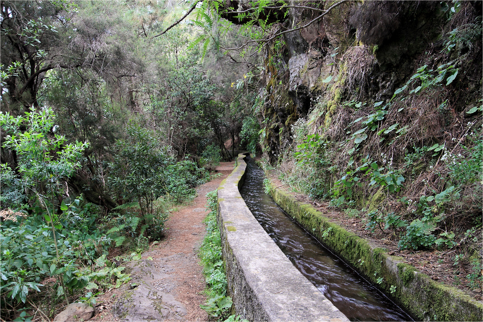 Beginn einer großartigen Wanderung auf La Palma