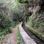 Beginn einer großartigen Wanderung auf La Palma