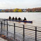 Beginn Hochwasser in Neuwied 2023