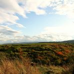 Beginnende Herbstfärbung an der Weinstraße