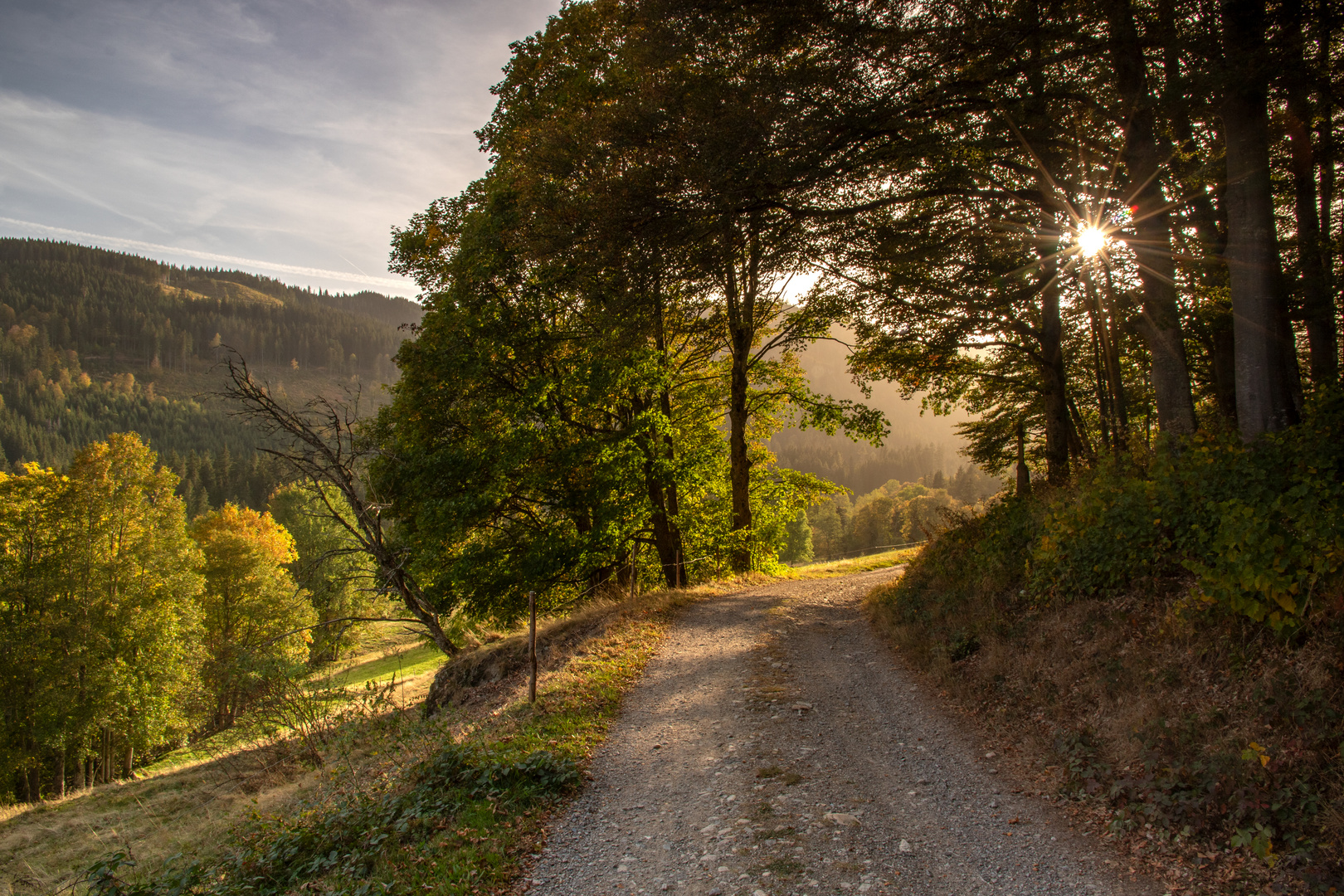 Beginnende Herbstzeit