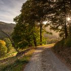 Beginnende Herbstzeit