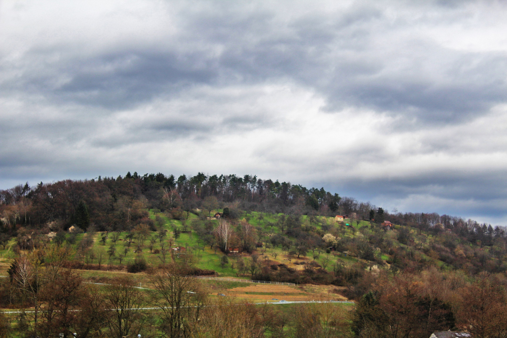 beginnender FRühling 3