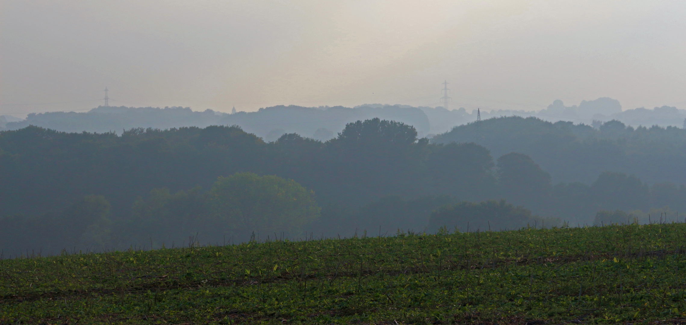 Beginnender Herbst