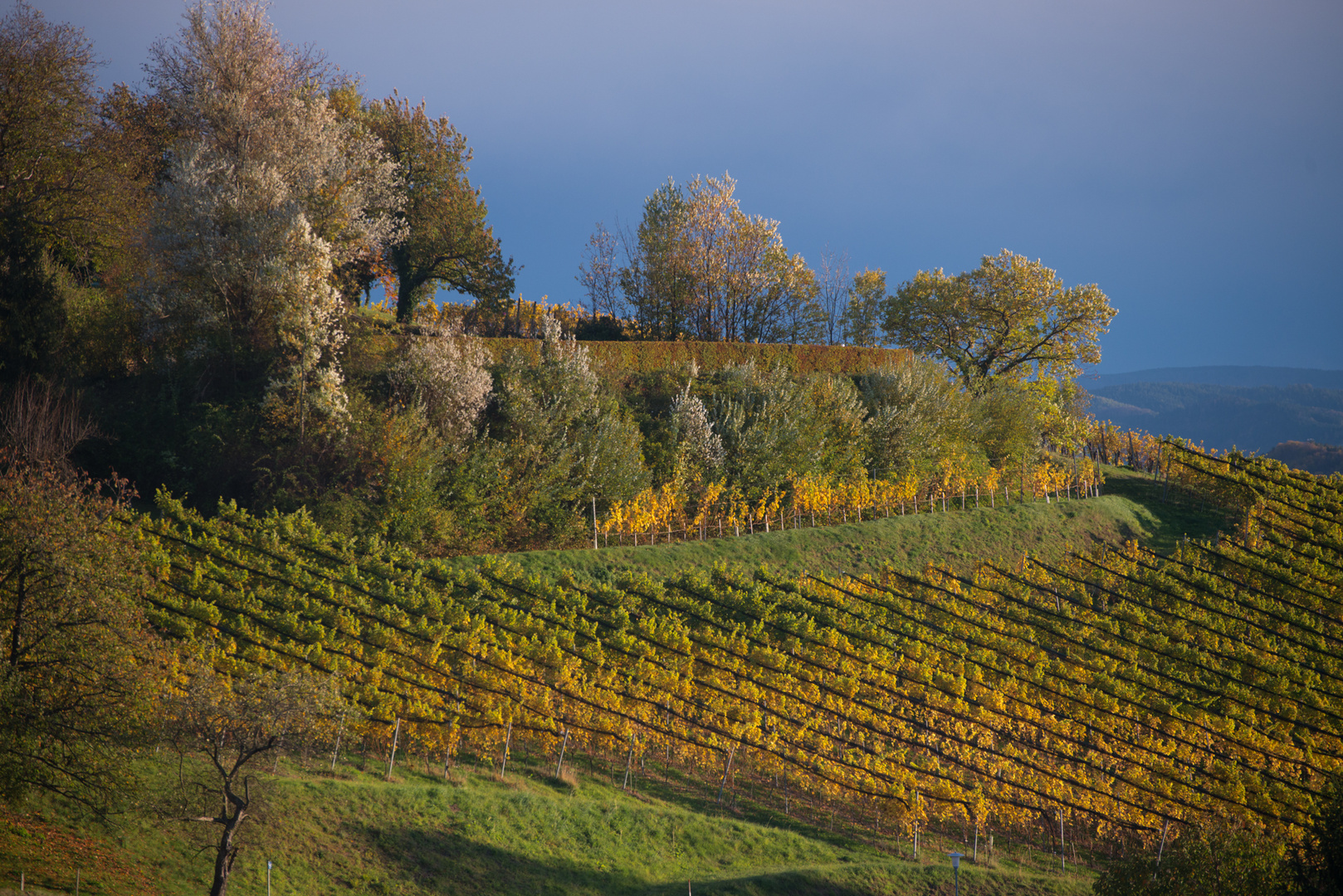beginnender Herbst im Weinland