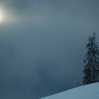 Beginnender Schneesturm am Feldberg