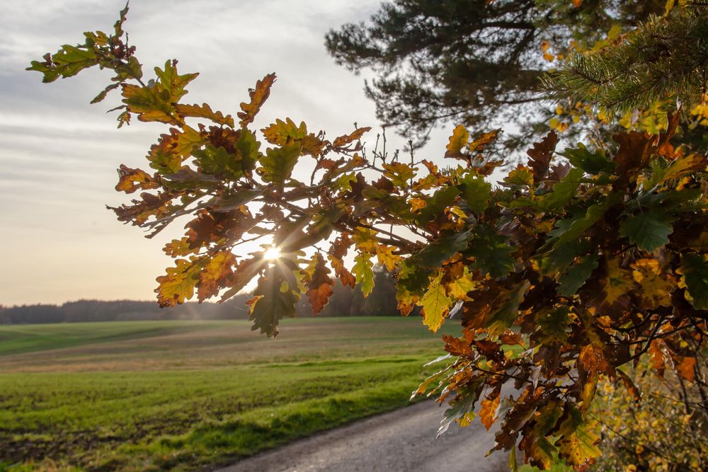 Beginnender Sonnenuntergang