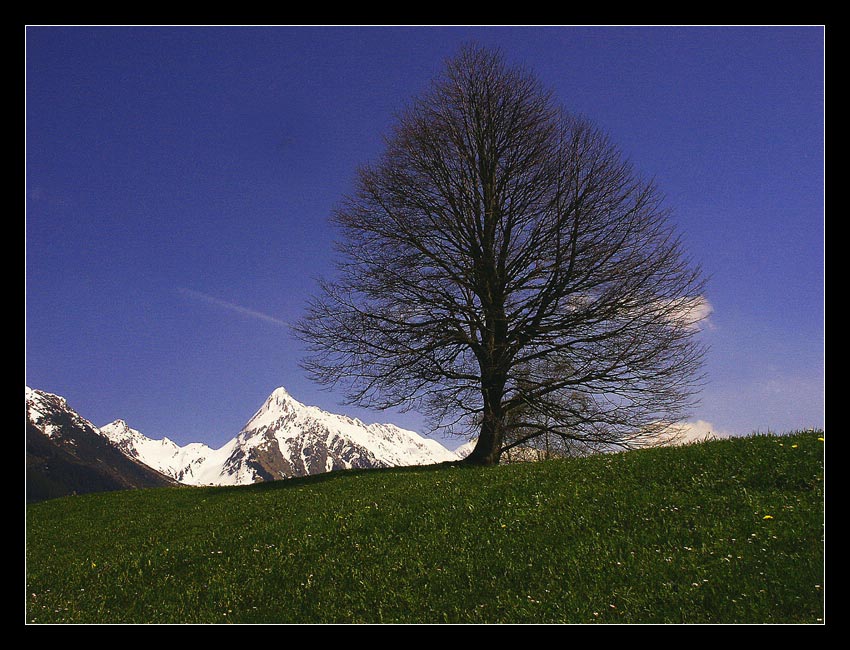 Beginnendes Frühjahr im Zillertal