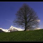 Beginnendes Frühjahr im Zillertal