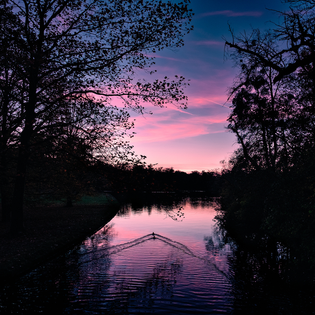 Beginning Autumn Night