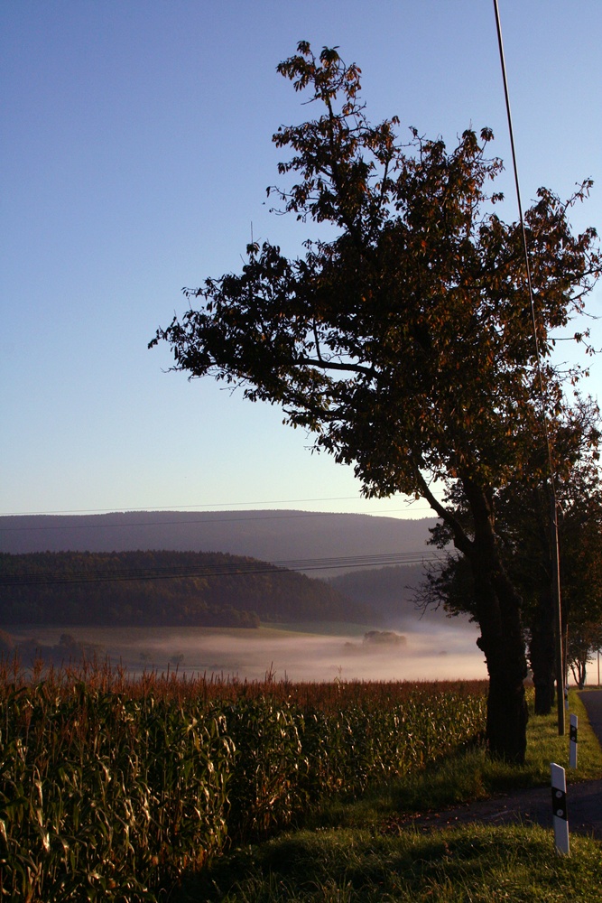 beginning of autumn