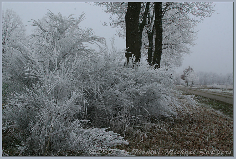 ** beginning of ... the day after tomorrow? **