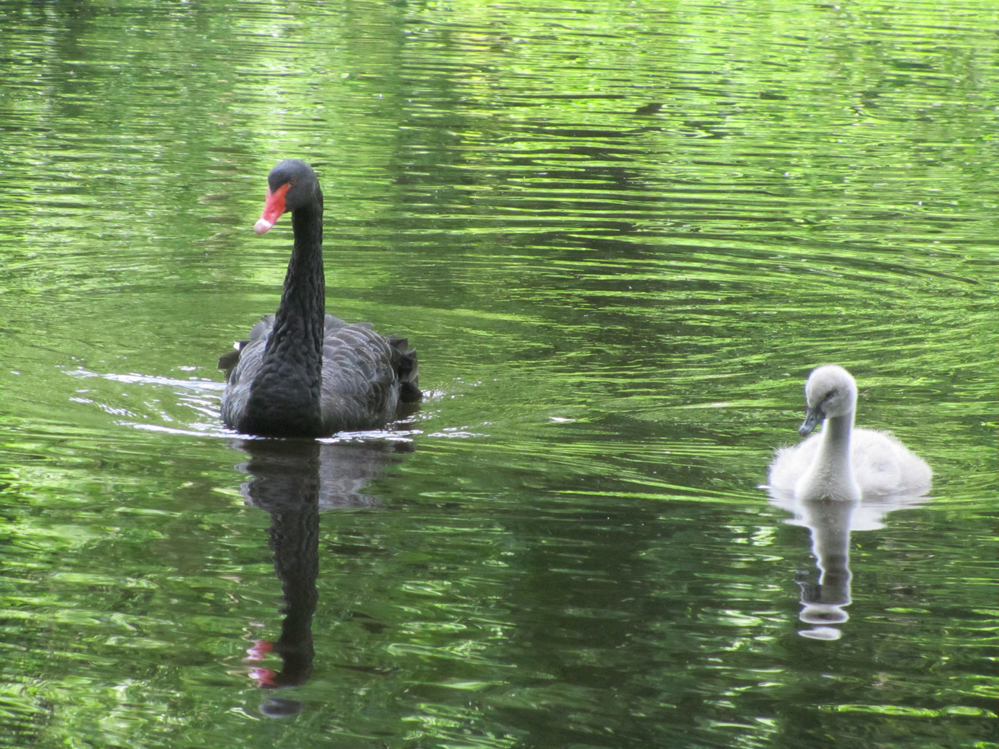 Begleiteter Ausflug