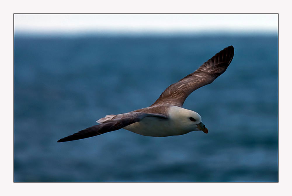 Begleitflug auf dem Atlantik