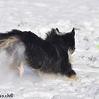 Begley beim Frisbee spielen