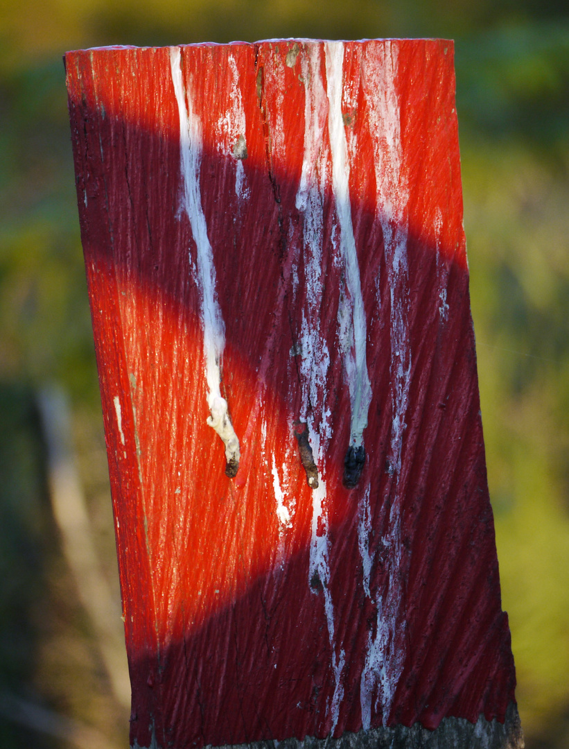 Begrenzungspfahl in der Wahner Heide