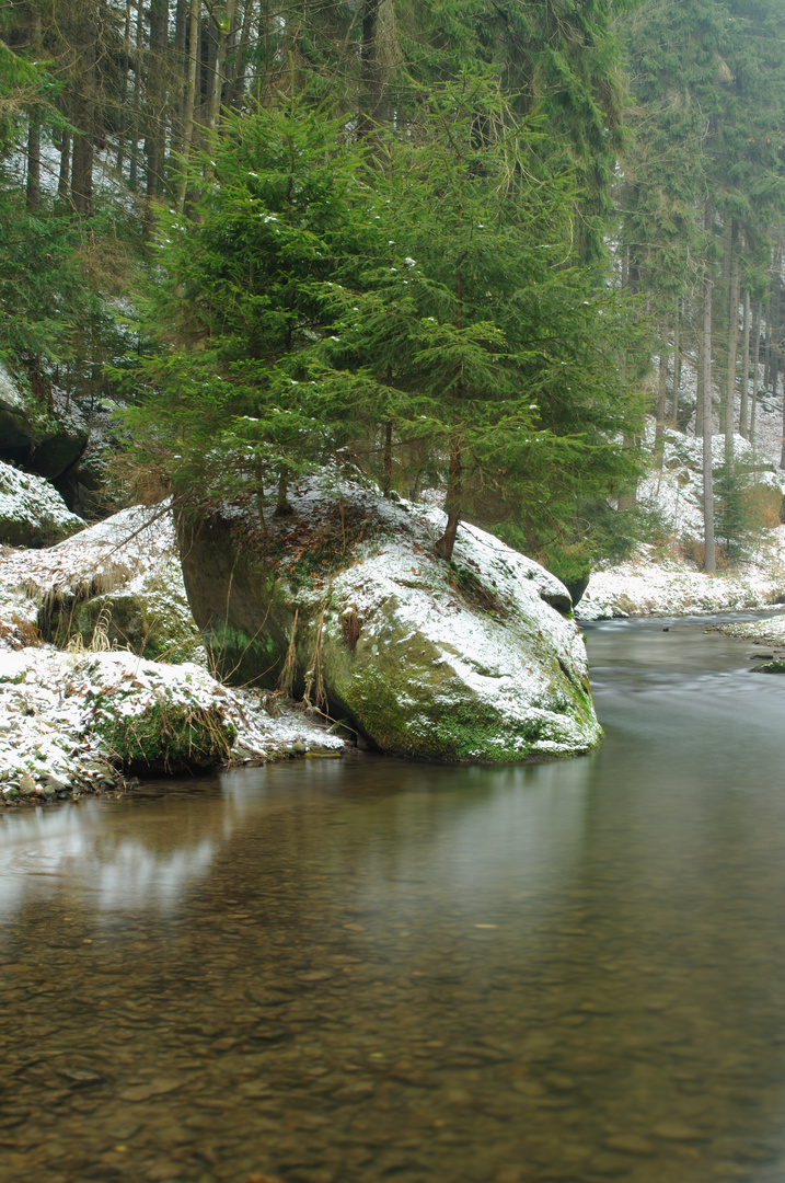 Begrünte Felsen