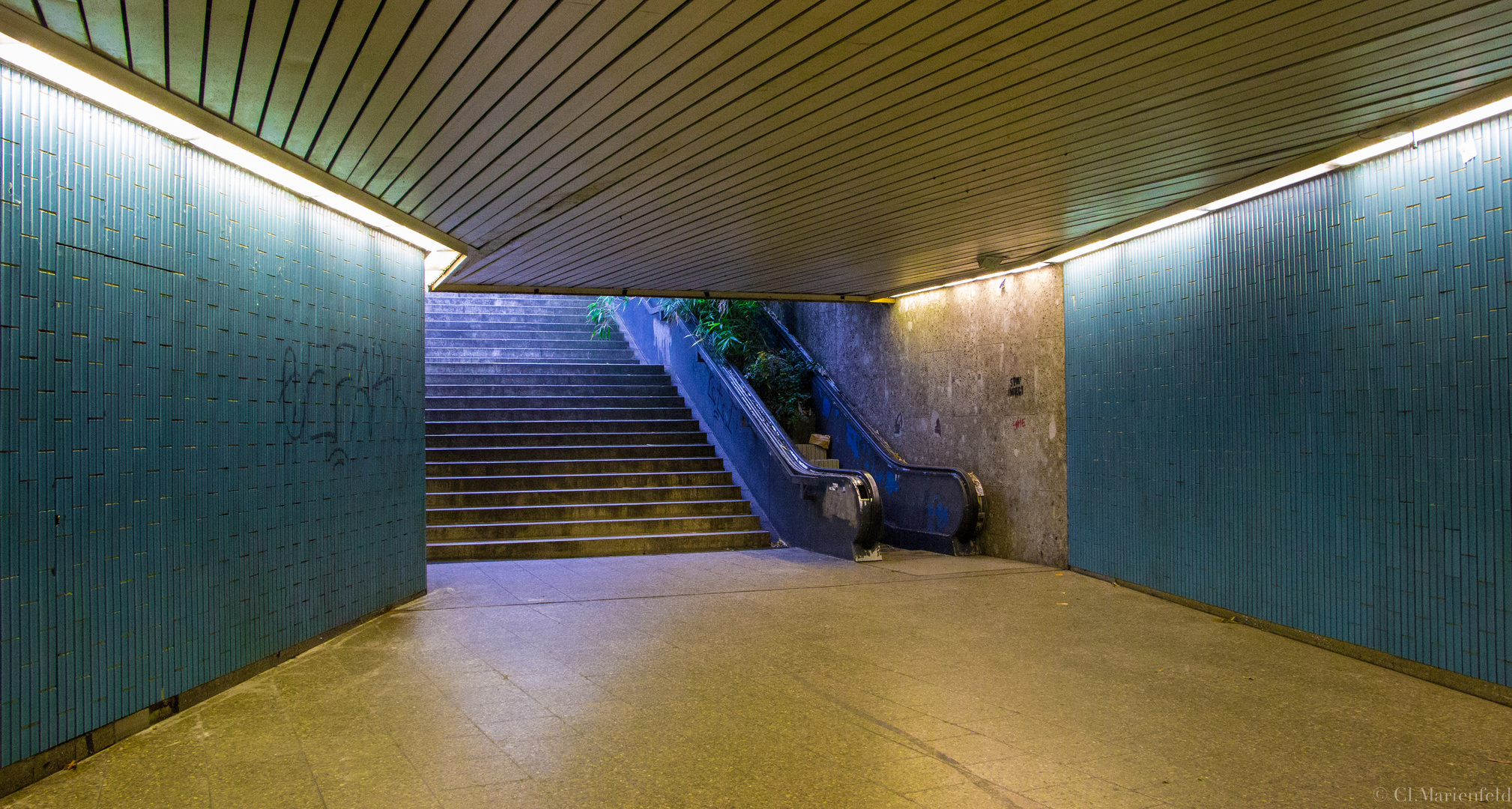 begrünte Rolltreppe