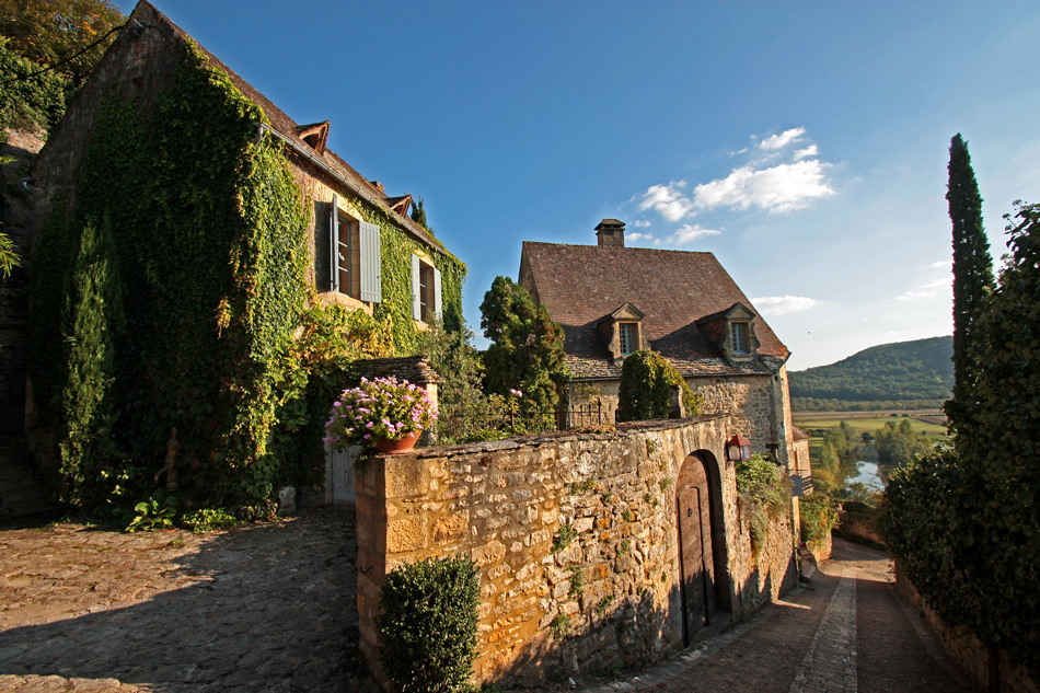 Begrüntes Haus