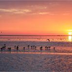 Begrüßung am Morgen