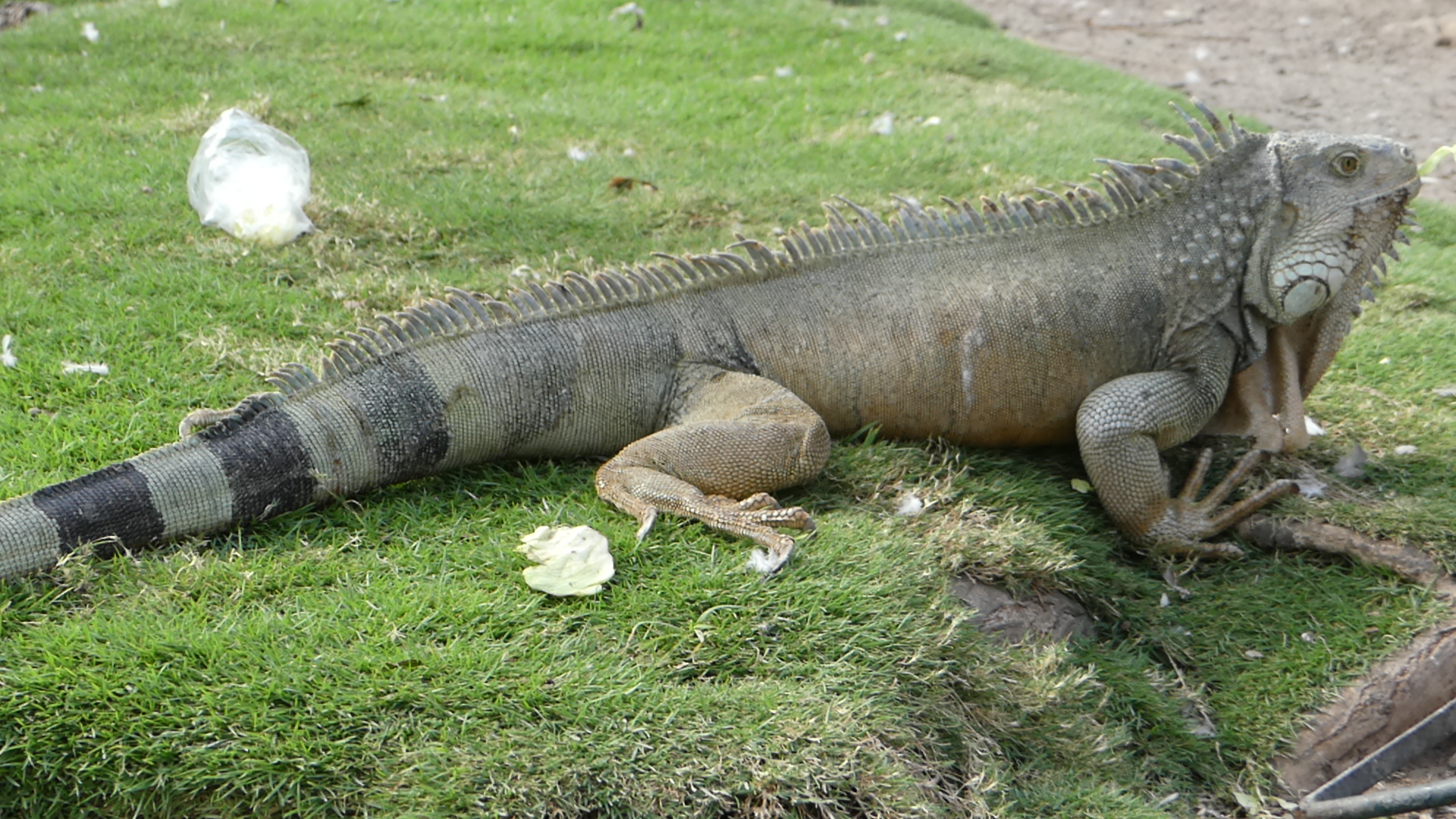 Begrüßung auf Galapagos