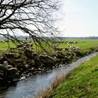 Begrüßung der Osterlämmer