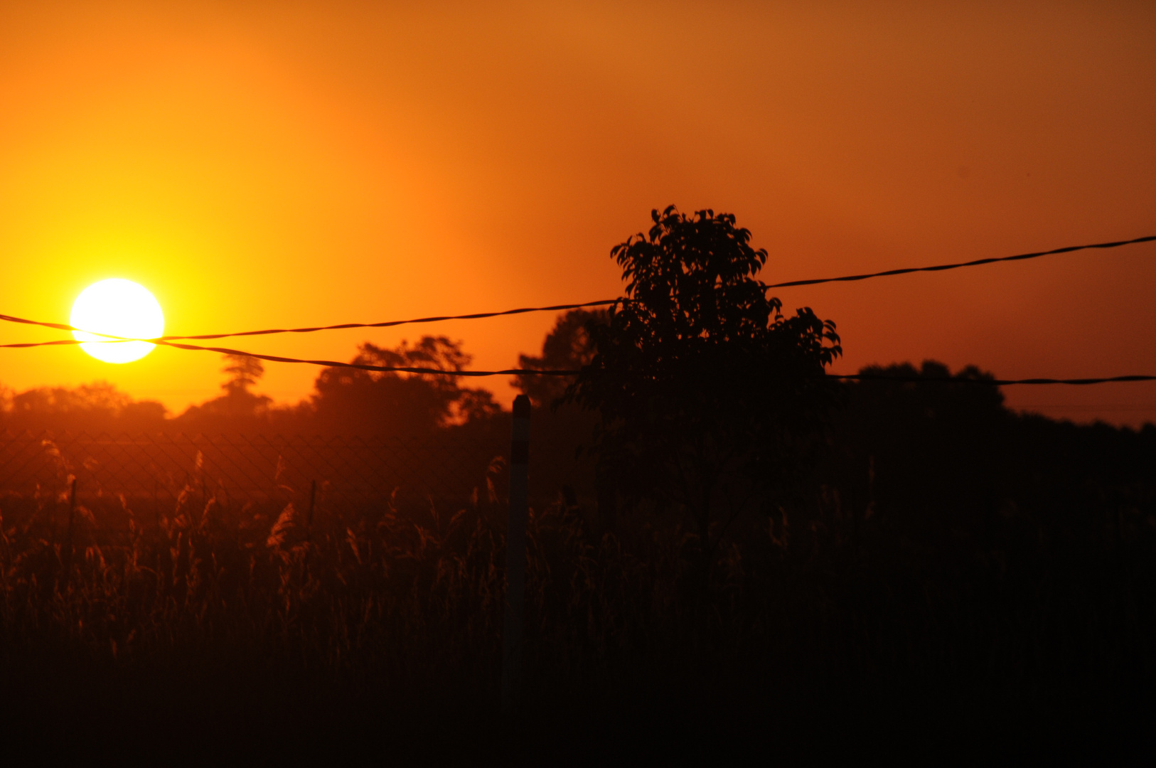 Begrüßung der Sonne am Morgen!